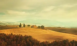 Italian Cypress Prints: Tuscan landscape with the Capella di Vitaleta