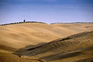 Images Dated 17th October 2008: Tuscan landscape near Pienza, Tuscany, Italy, Europe