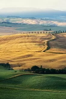 Images Dated 20th June 2016: Tuscany Field in Summer Season