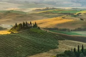 Images Dated 18th June 2016: Tuscany Field in Summer Season