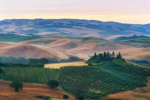 Images Dated 18th June 2016: Tuscany Field in Summer Season