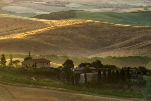 Environmental Conservation Collection: Tuscany Field in Summer Season