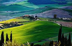 Francesco Riccardo Iacomino Travel Photography Gallery: Tuscany, springtime in the afternoon. Path, green rolling hills and cypress trees