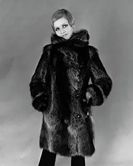 Twiggy In Fur