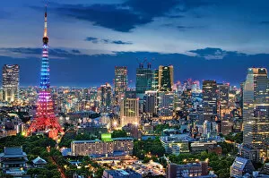 Images Dated 30th September 2015: Twilight Tokyo Skyline