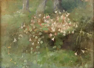 Oil On Canvas Prints: Twinflowers