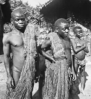 Types of Pygmees