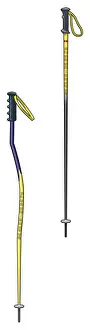 Winter Sport Prints: Two types of ski poles