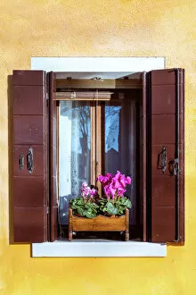 Pink Color Gallery: Typical colorful wall and window, Burano, Venice