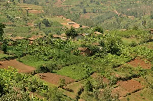 Hilly Landscape Gallery: Typical hilly landscape near Busengo, Rwanda, Africa