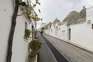 Images Dated 21st September 2016: Typical huts called Trulli built with dry stone Alberobello