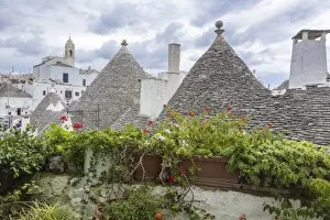 Images Dated 21st September 2016: The typical Trulli Alberobello Apulia Italy
