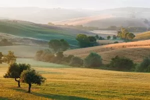 Hilly Landscape Gallery: Typical Tuscan landscape near San Quirico dOrcia, Val dOrcia region, early morning mist, Tuscany