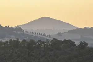 Conifer Prints: Typical Tuscan landscape in Val d'Orcia with hills