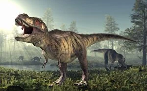 Images Dated 30th October 2010: Tyrannosaurus rex dinosaur