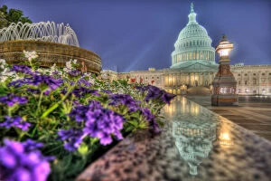 Matthew Carroll Photography Collection: U. S. Capitol