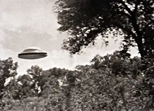 UFO Flying Low Over Trees
