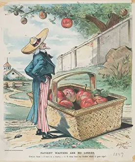 Uncle Sam Observing Cherry Tree