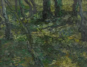 Woods Prints: Undergrowth