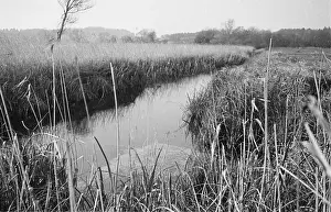 Huty17920 Prints: Undrained Ditch