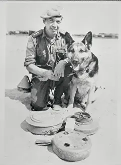 United Nations Emergency Force Dog Posing with Man