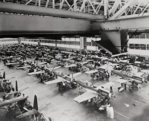 Buffalo Prints: United States and Great Britain Combat Planes Side by Side