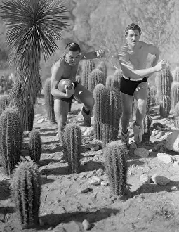 Strategy Prints: University Football Players Practicing in Cactus Field