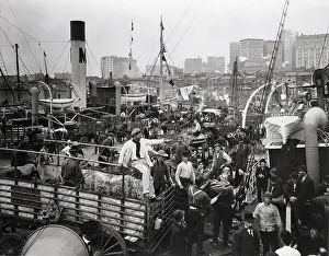 Unloading Prints: Unloading Banana Boats In New York