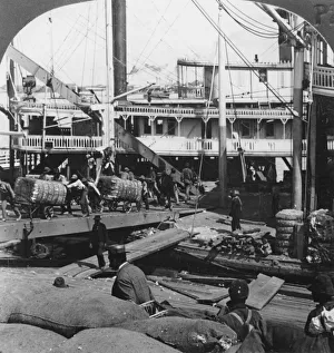 White, Huty Gallery: Unloading Cotton