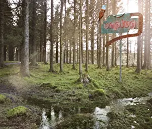 Prints of Unplug neon in the forest Stone Prints: Unplug neon in the forest