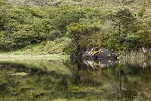 Images Dated 24th July 2012: Upper Lake, Killarney National Park, Killarney, County Kerry, Ireland