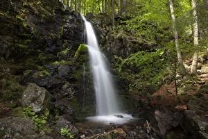 Upper Zweribach waterfall at Mt Kandel, Black Forest, Baden-Wuerttemberg, Germany, Europe