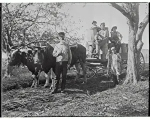 Urban Youths on a Attending as Part of a Farm Vacation Program