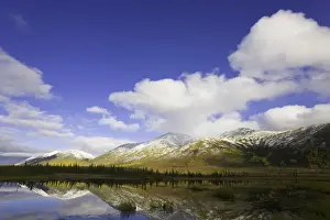 Tundra Prints: USA, Alaska, cumulus clouds over Brooks Range and tundra pond