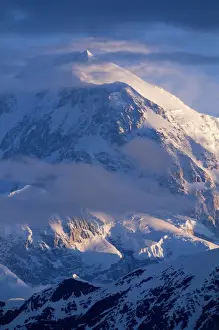 USA, Alaska, Denali National Park