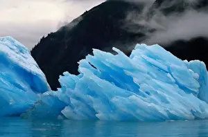 USA, Alaska, Tracy Arm fjord, glacial blue icebergs
