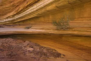Images Dated 26th June 2006: USA, Arizona, Vermilion Cliffs Wilderness, Navajo sandstone