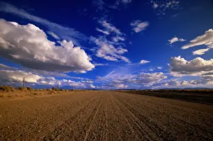 Vanishing Point Prints: USA, Colorado, cumulus clouds over country gravel road in summer