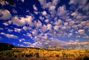 Colorado Gallery: USA, Colorado, East Beckwith Mountain and aspen trees, autumn