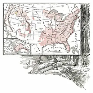 USA forests distribution engraving 1867