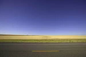 Images Dated 26th June 2006: USA, Montana, wheatfield beside highway, summer