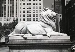 USA, New York City, lion statue outside New York Public Library