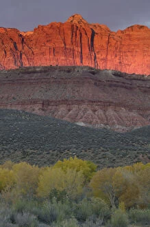 USA, Utah, Zion National Park, sunlight and shadows on mesa