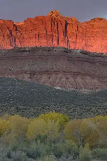 Mesa Prints: USA, Utah, Zion National Park, sunlight and shadows on mesa
