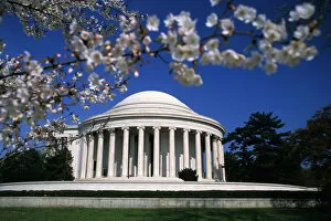 Images Dated 2nd April 2019: USA, Washington DC, The Mall, Jefferson Memorial, cherry tree