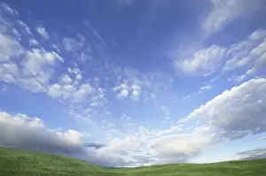 Pasture Prints: USA, Wyoming, Red Desert, cumulus clouds over grassy hillside