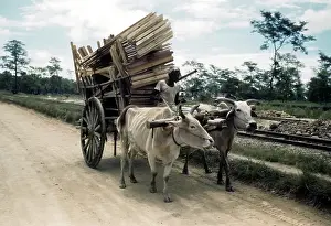 U.S.AIR FORCE BASE IN CHABUA ASSAM, INDIA
