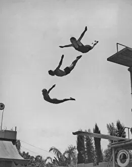 The Keystone Press Agency Collection Gallery: Using The Diving Board