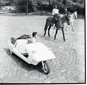 Utility Car and Horses