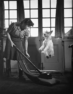 Appliance Prints: Vacuum Dog Jump